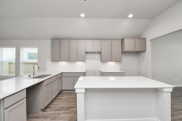 19722 Vino Vale Dr, Hockley, TX 77447 - kitchen featuring a sink, gray cabinetry, wood finished floors, recessed lighting, and a center island