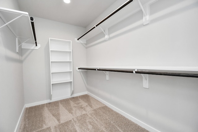 19722 Vino Vale Dr, Hockley, TX 77447 - spacious closet featuring carpet floors