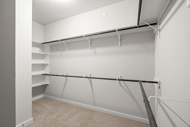 spacious closet with light carpet