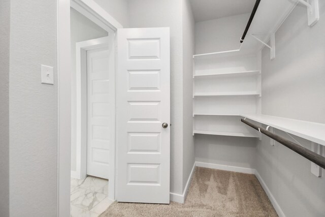 walk in closet with light carpet