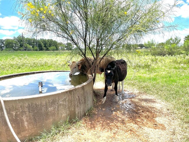 00 Fm 950, Eagle Lake, TX 77434 - photo 20