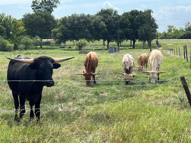 00 Fm 950, Eagle Lake, TX 77434 - photo 21