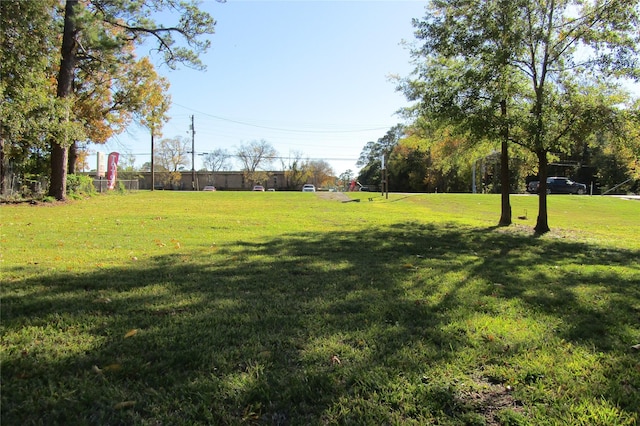 920 W Church St, Livingston TX, 77351 land for sale