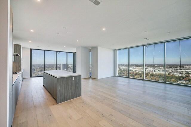 kitchen featuring a center island, a wall of windows, a healthy amount of sunlight, and light hardwood / wood-style flooring