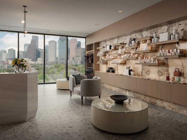 living area featuring a wall of windows and a healthy amount of sunlight