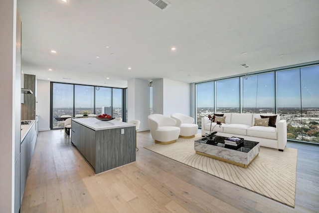 living room with expansive windows, a healthy amount of sunlight, and light hardwood / wood-style floors