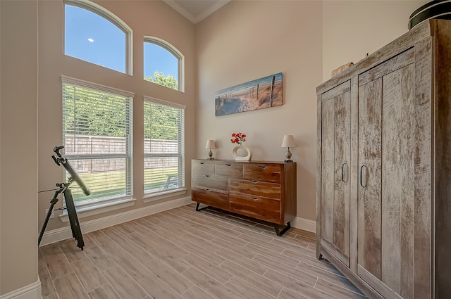 interior space featuring light hardwood / wood-style flooring, crown molding, and a high ceiling