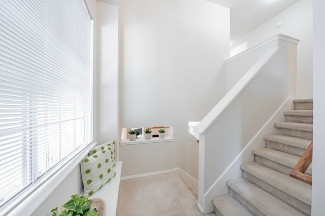 staircase with carpet flooring