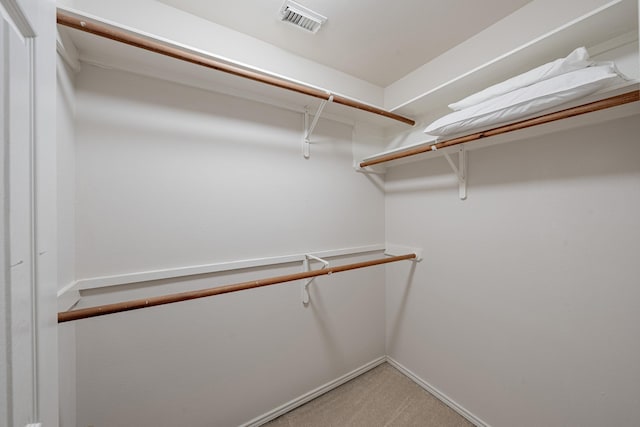 spacious closet with light carpet