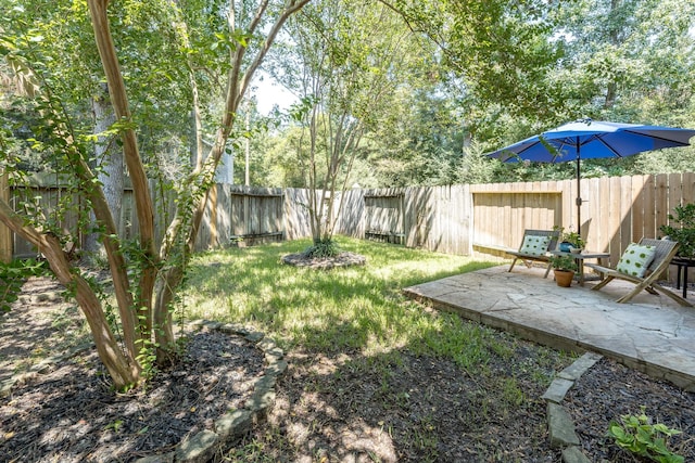 view of yard with a patio