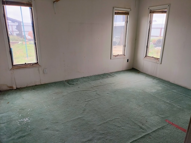 carpeted spare room with plenty of natural light