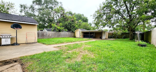 view of yard featuring a storage shed and a patio