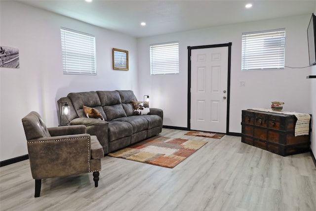 living room featuring light wood-type flooring