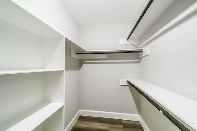 walk in closet featuring hardwood / wood-style flooring