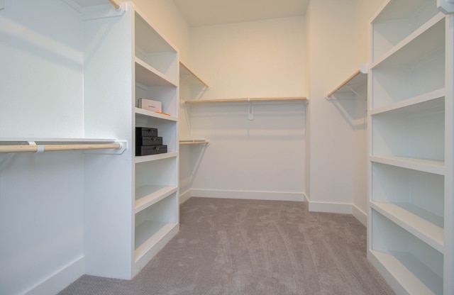 spacious closet with carpet