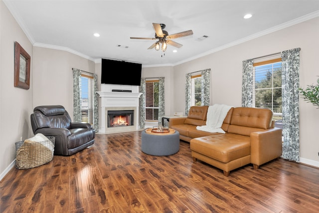 living room featuring wood-type flooring, ceiling fan, and ornamental molding