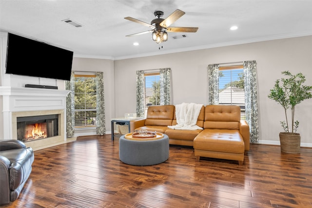 living room with ceiling fan, dark hardwood / wood-style flooring, a healthy amount of sunlight, and ornamental molding