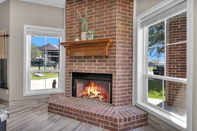 details featuring a fireplace and wood finished floors