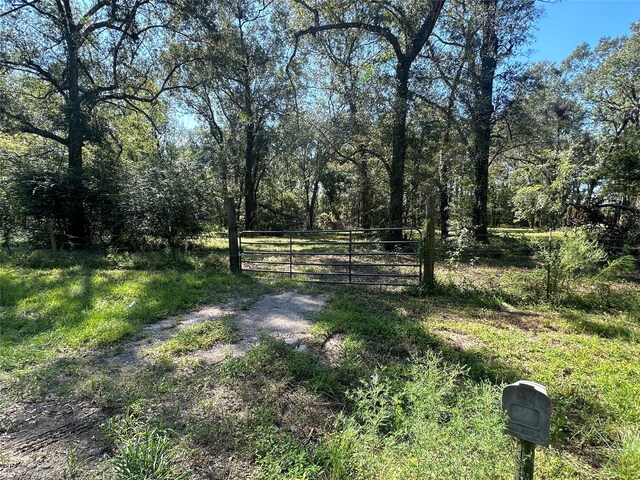 27316 Frye Rd, Splendora, TX 77372