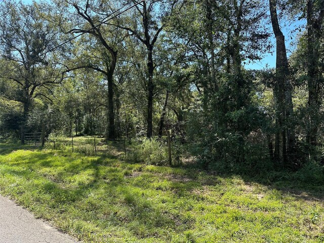 27316 Frye Rd, Splendora, TX 77372