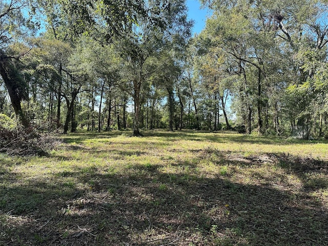 27316 Frye Rd, Splendora, TX 77372