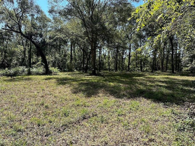 27316 Frye Rd, Splendora, TX 77372
