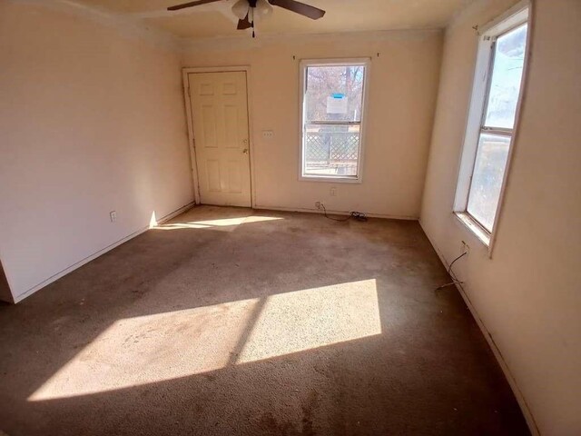 spare room featuring carpet flooring, ceiling fan, and plenty of natural light