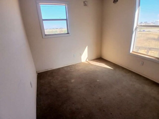 view of carpeted spare room