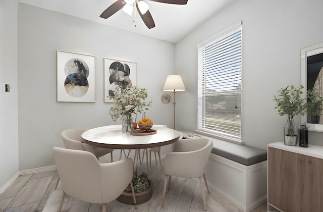 dining area featuring light hardwood / wood-style flooring and ceiling fan