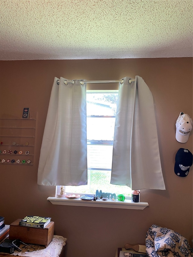 room details with a textured ceiling