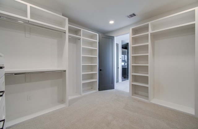 spacious closet featuring carpet