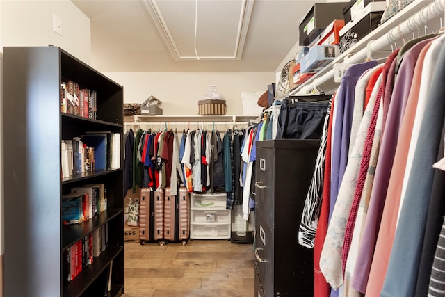 spacious closet with hardwood / wood-style flooring