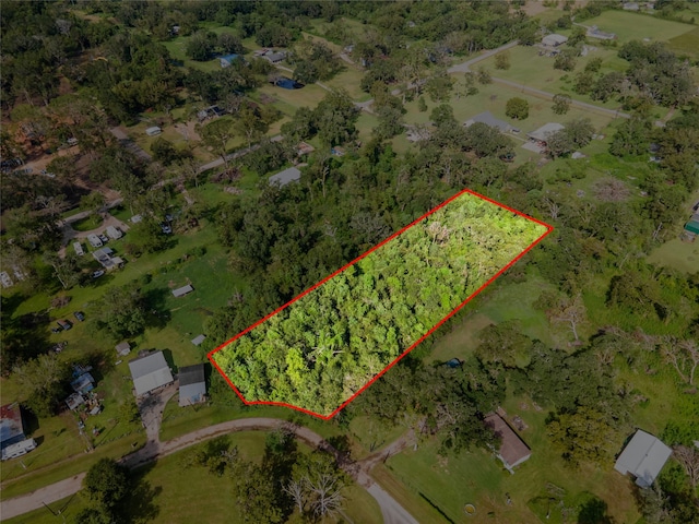 2653 County Road 348, Brazoria TX, 77422 land for sale