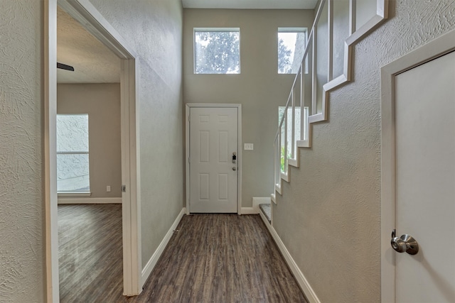 foyer entrance featuring dark hardwood / wood-style floors