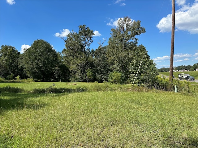 3033 US Highway 190 W, Livingston TX, 77351 land for sale