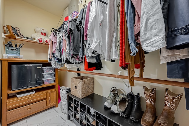 view of spacious closet