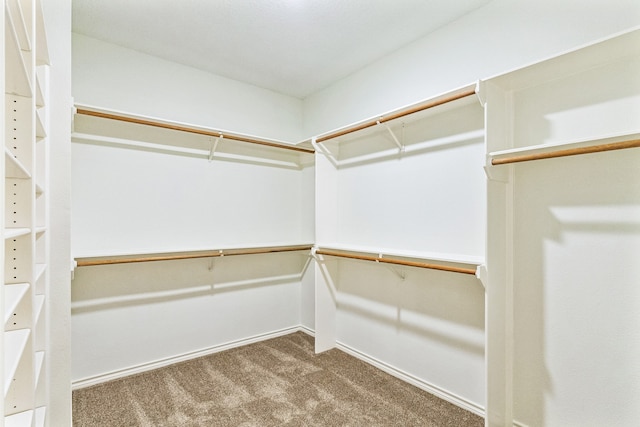 walk in closet featuring carpet