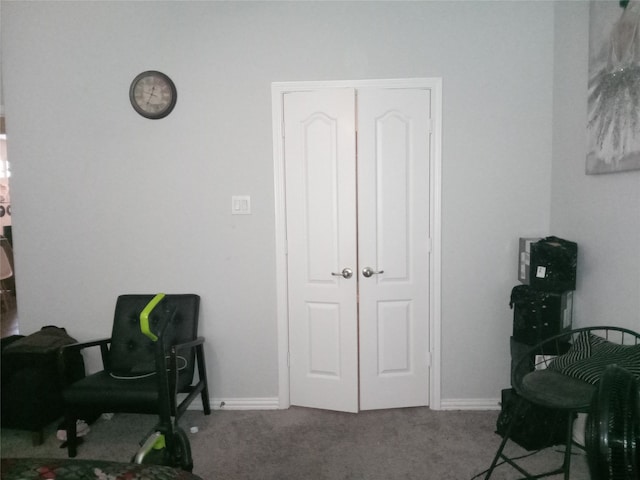 sitting room with carpet floors