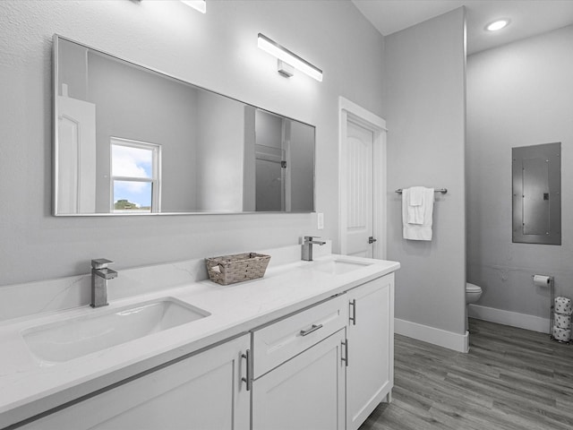 full bath featuring electric panel, toilet, a sink, and baseboards