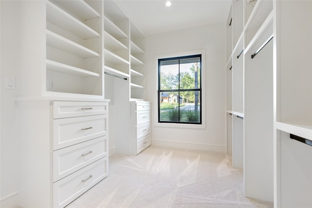 walk in closet with light carpet