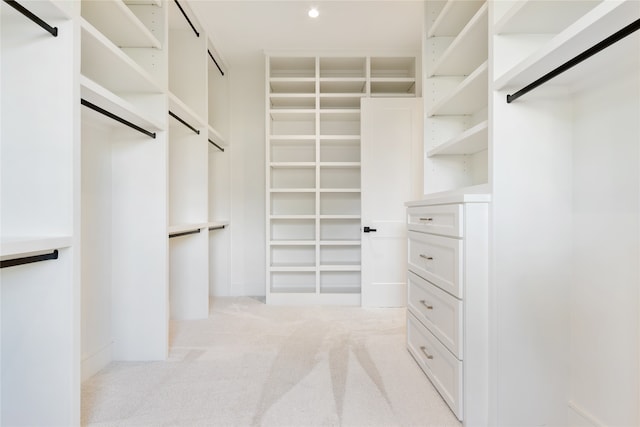 spacious closet featuring light colored carpet