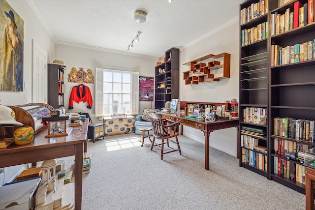 2509 Westgate Dr, Houston, TX 77019 - office featuring ornamental molding, carpet flooring, a textured ceiling, and rail lighting