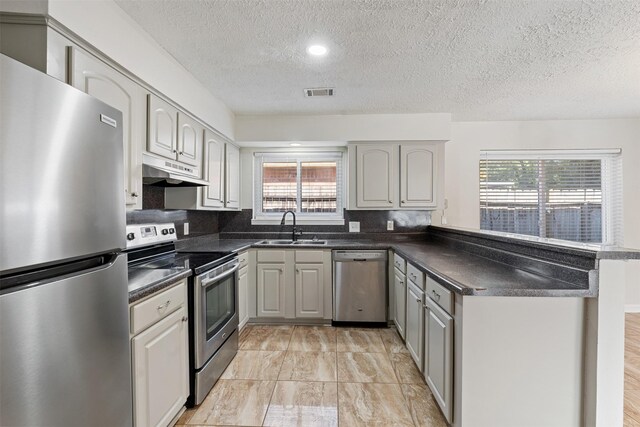 kitchen with a textured ceiling, a healthy amount of sunlight, sink, and appliances with stainless steel finishes