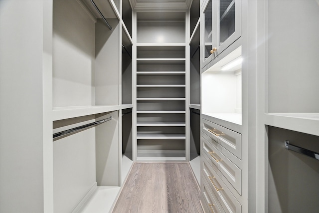 spacious closet with hardwood / wood-style floors