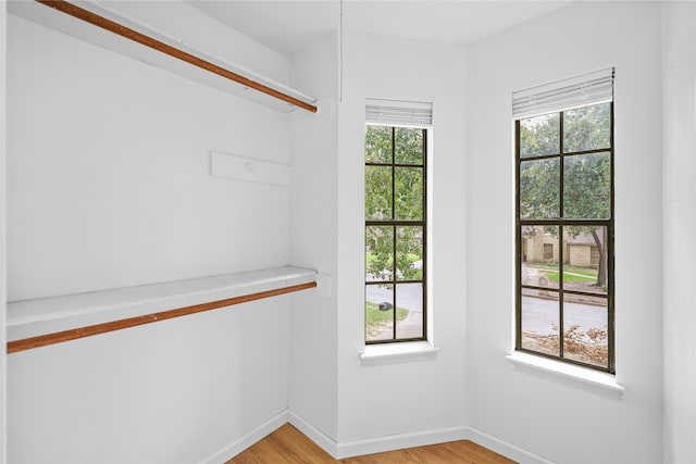 walk in closet with light hardwood / wood-style flooring