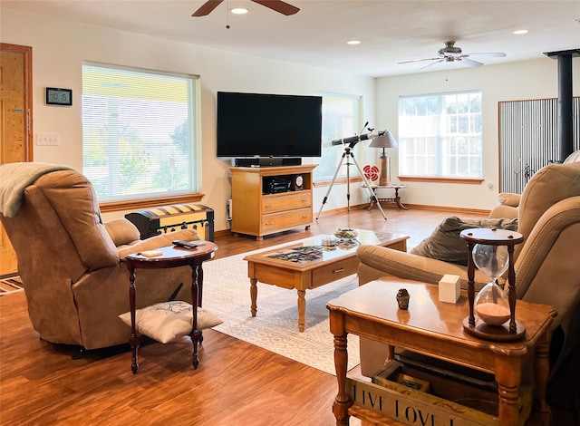 living room with ceiling fan and wood-type flooring