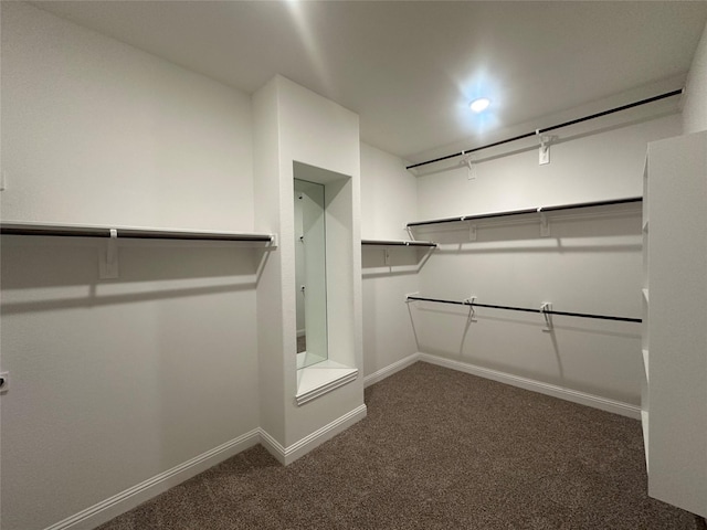 walk in closet featuring carpet flooring