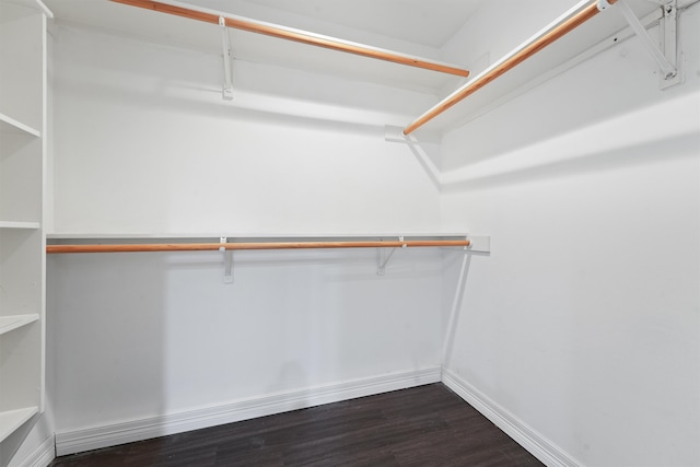 walk in closet with dark wood-type flooring