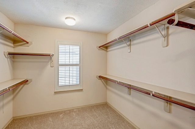 walk in closet featuring light carpet