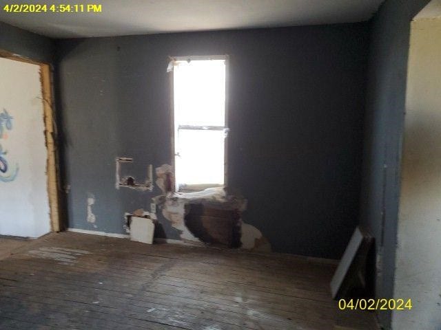 spare room featuring plenty of natural light and wood-type flooring